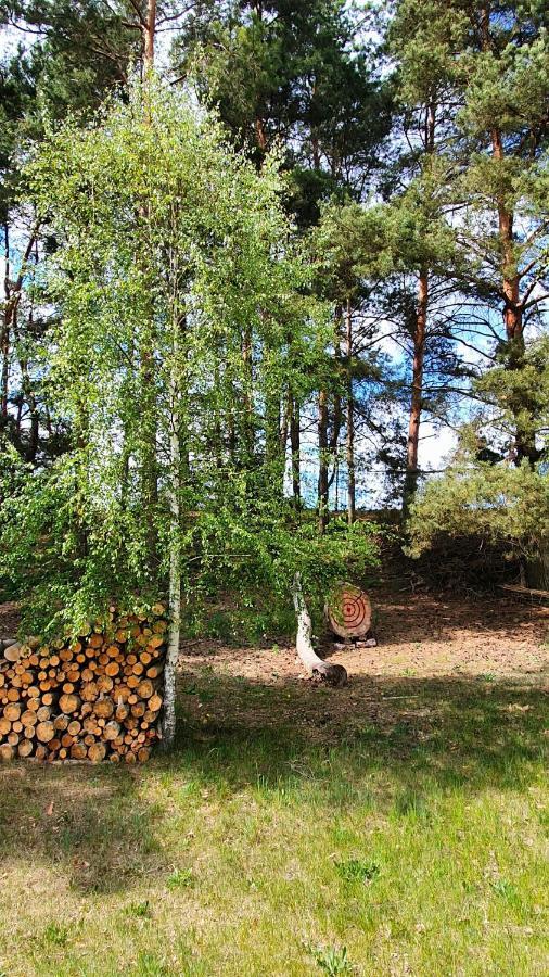 Sloneczna Dolina Nad Biebrza Country house *
