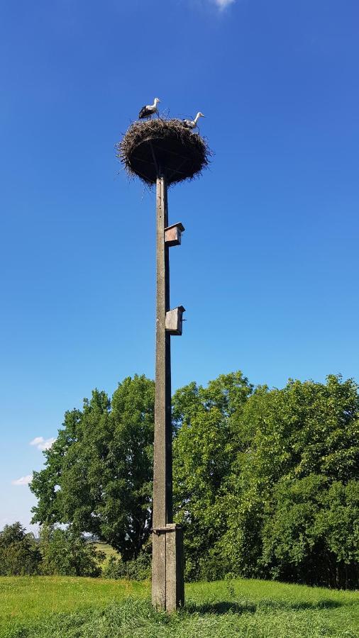 Sloneczna Dolina Nad Biebrza Goniadz
