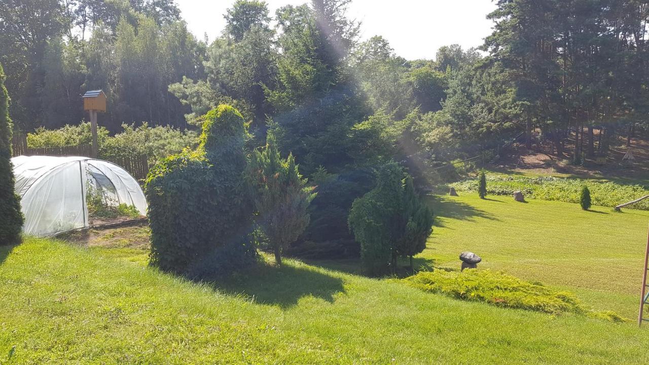 Sloneczna Dolina Nad Biebrza Country house