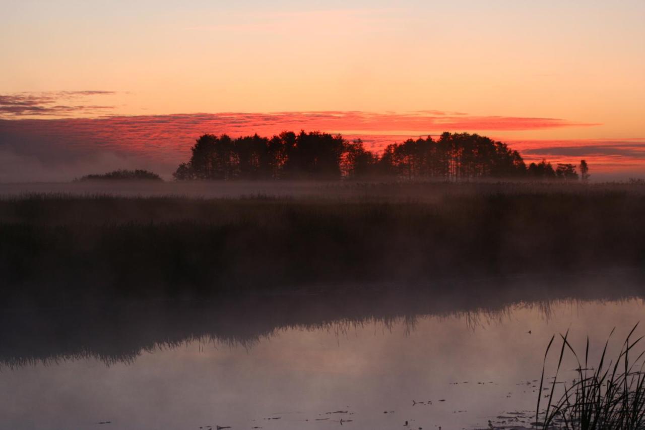 Sloneczna Dolina Nad Biebrza * Goniadz