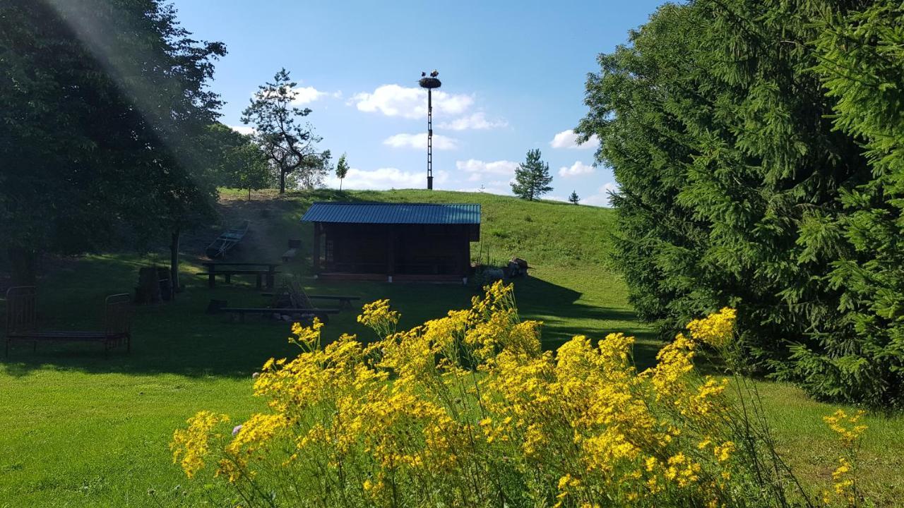 Sloneczna Dolina Nad Biebrza Country house Goniadz