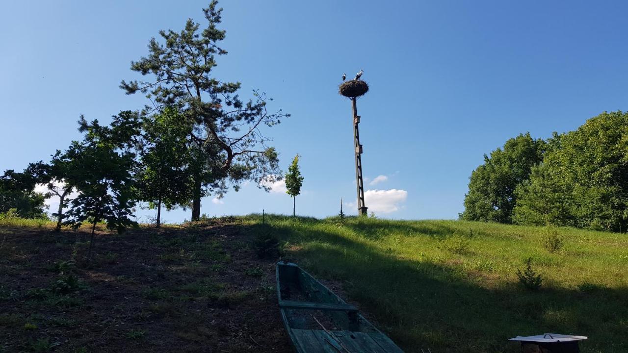 Sloneczna Dolina Nad Biebrza Country house Goniadz