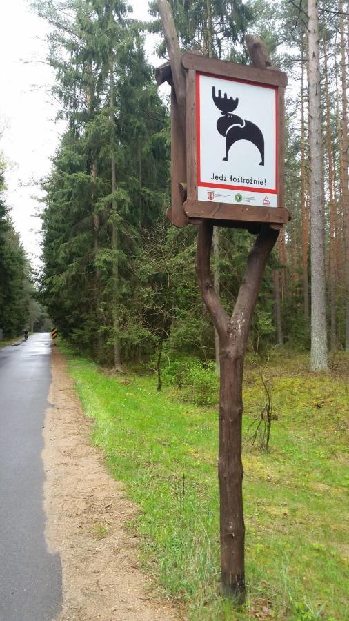 Sloneczna Dolina Nad Biebrza