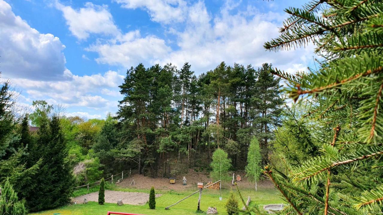 Sloneczna Dolina Nad Biebrza *