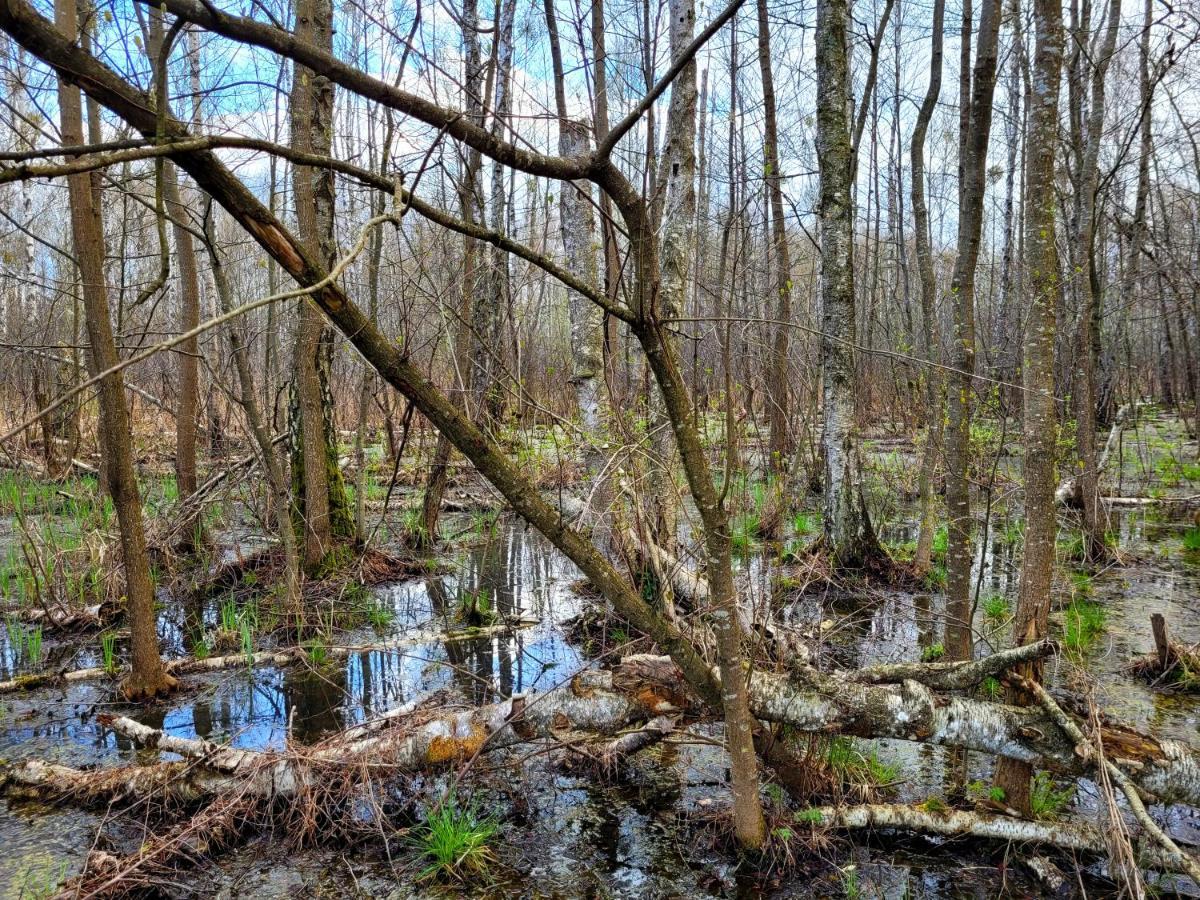 Sloneczna Dolina Nad Biebrza * Goniadz